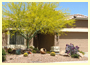 Palo Verde Palo Verde